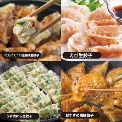 八代市東陽町の生姜を使った餃子の王国　餃子8種詰合せ
