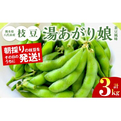 熊本県八代市産枝豆 [湯あがり娘(茶豆風味)] 3kg