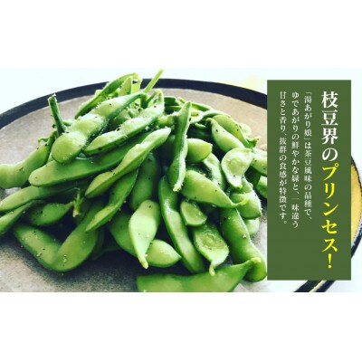 熊本県八代市産枝豆 [湯あがり娘(茶豆風味)] 3kg