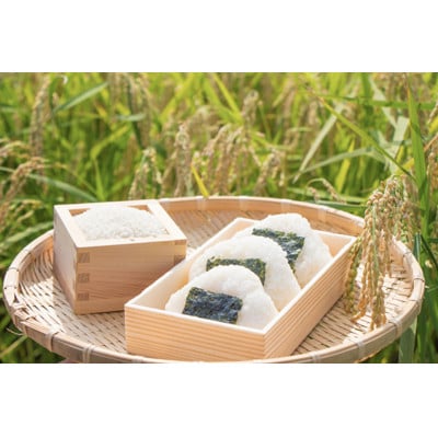熊本県産　球磨川急流米　5kg