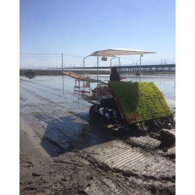 熊本県産　球磨川急流米　10kg