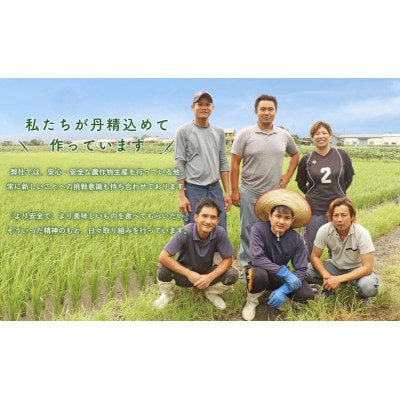 熊本県産　潮風香る　なめらか新ジャガイモメークイン　10kg　