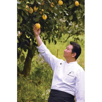 レモンケーキ　10個入