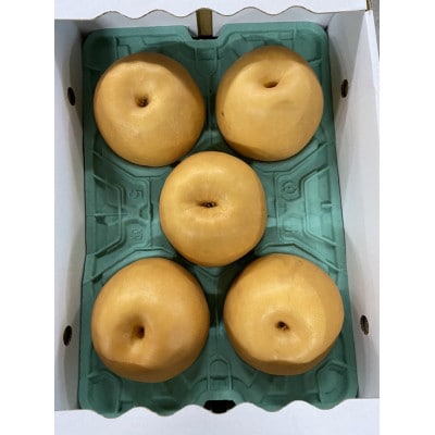 新高梨　約5kg　5～16玉(八代市)