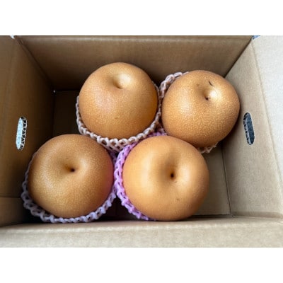 秋月梨　約1.8kg　3～6玉(八代市)