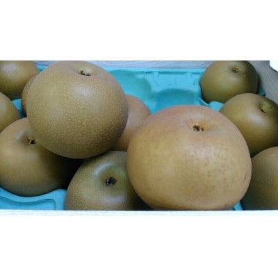 秋月梨　約1.8kg　3～6玉(八代市)