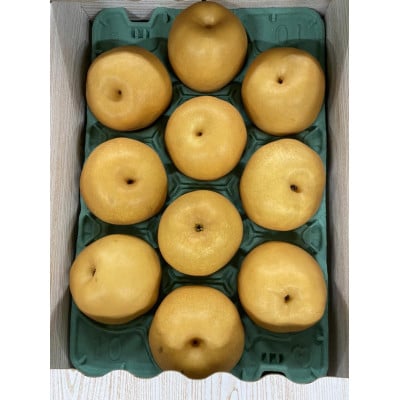 新高梨　約1.8kg　3～6玉(八代市)