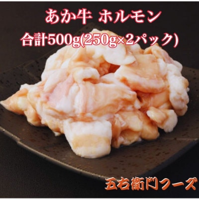 あか牛 白ホルモン 500g(250g×2パック)(八代市)