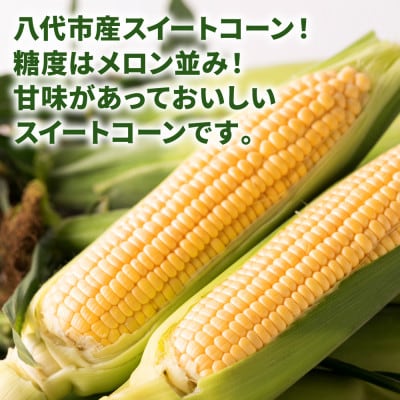 熊本県八代市産 スイートコーン ゴールドラッシュ 4kg【入江農園