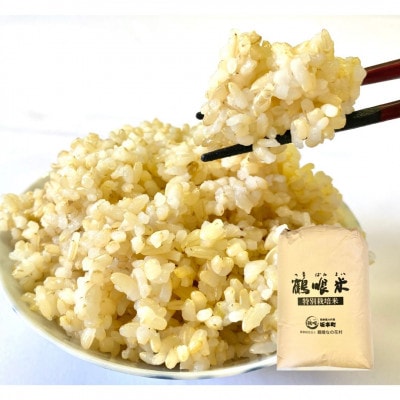 【新米 令和7年産】鶴喰米 玄米(くまさんの輝き) 30kg