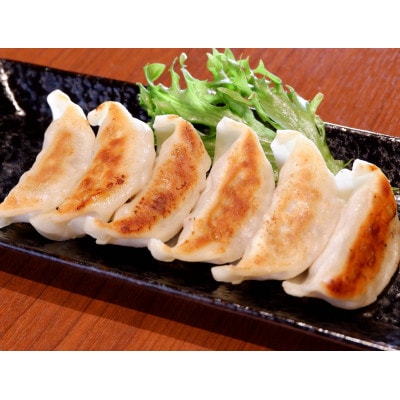 あか牛ぎょうざセット(あか牛餃子20個入り×2箱)(八代市)
