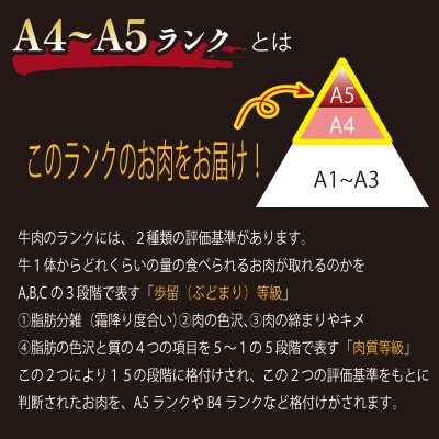 【訳あり】A4～A5ランク 氷温(R)熟成 九州産 黒毛和牛 切り落とし 1.1kg