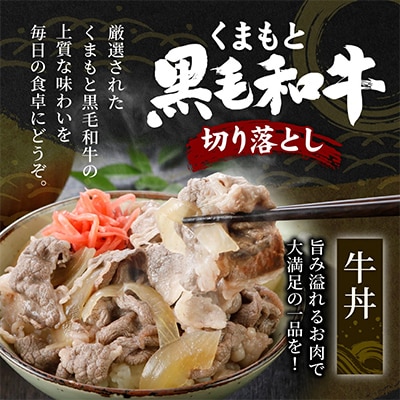【訳あり】くまもと黒毛和牛 切り落とし 1.0kg