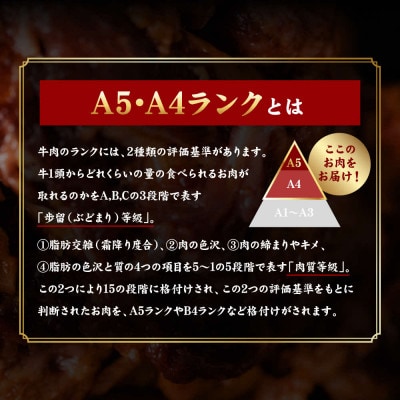 A4-A5ランク九州黒毛和牛 プルコギ風たれ漬け 1.32kg