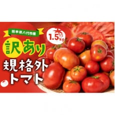 【訳あり】熊本県八代市産 規格外トマト 約1.5kg