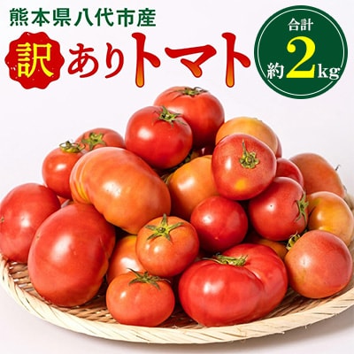 【訳あり】熊本県八代市産 規格外トマト 約2kg 【2026年4月中旬より順次発送】