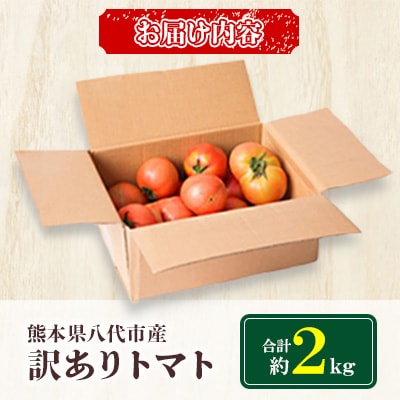 【訳あり】熊本県八代市産 規格外トマト 約2kg 【2026年4月中旬より順次発送】