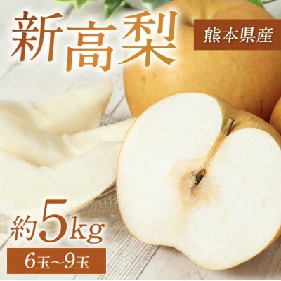 【2025年9月下旬より順次発送】熊本県産　新高梨 約5kg(6玉～9玉)　