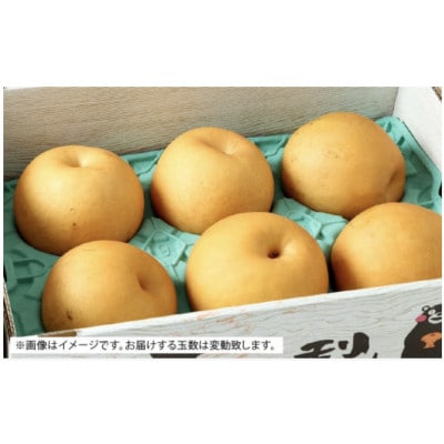 【2025年9月下旬より順次発送】熊本県産　新高梨 約5kg(6玉～9玉)　