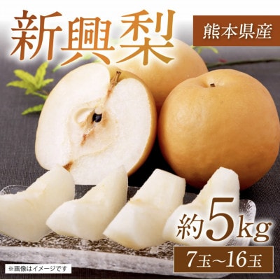 【2025年10月上旬より順次発送】熊本県産　新興梨 約5kg 7玉～16玉　
