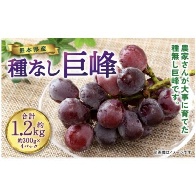 種なし巨峰 約300g×4パック 合計約1.2kg