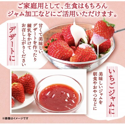【先行受付　2023年12月上旬より順次発送】熊本県産 いちご　250g×4p　合計1kg