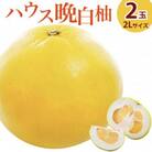 【先行受付　2025年12月下旬より順次発送】晩白柚　2玉(2Lサイズ約2kg)ハウス栽培