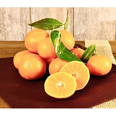 【先行受付】熊本県産　贅沢みかん　5kg