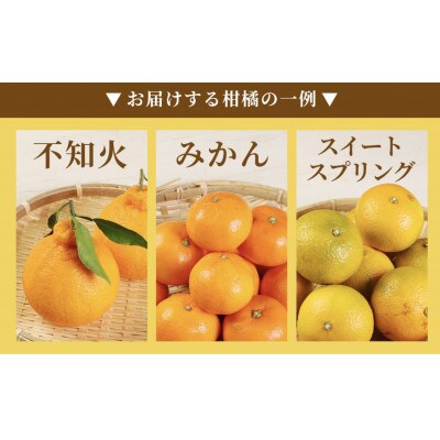 【先行受付】【2023年12月上旬より順次発送】柑橘詰合せ福袋 3種類以上　合計3kg以上