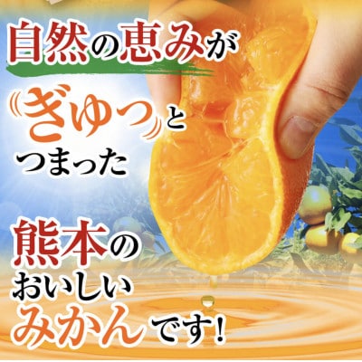【先行受付】【2023年11月上旬より順次発送】熊本県産 温州みかん 5kg