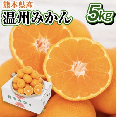 【先行受付】【2023年11月上旬より順次発送】熊本県産 温州みかん 5kg