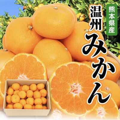 【先行受付】【2023年11月上旬より順次発送】熊本県産 温州みかん 5kg
