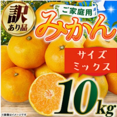 【訳ありサイズミックス】熊本県産　みかん　10kg