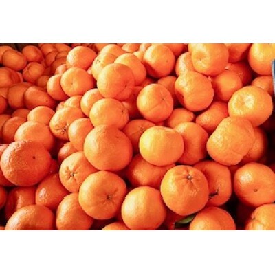 【訳ありサイズミックス】熊本県産　みかん　10kg