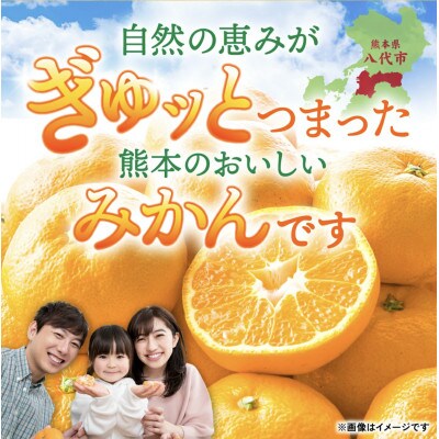 【訳ありサイズミックス】熊本県産　みかん　約2kg