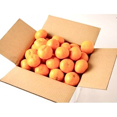 【訳ありサイズミックス】熊本県産　みかん　約2kg