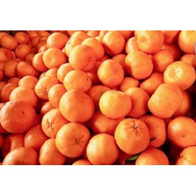 【訳ありサイズミックス】熊本県産　みかん　約2kg
