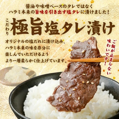 【訳あり】牛ハラミ 焼肉 (軟化加工) 塩味 300g×4パック 合計1.2kg