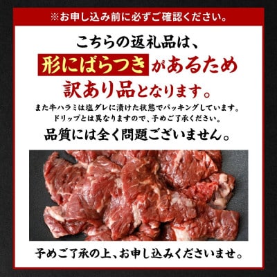 【訳あり】牛ハラミ 焼肉 (軟化加工) 塩味 300g×4パック 合計1.2kg