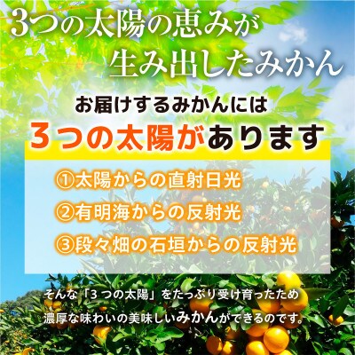 八代市産 温州みかん 約2.5kg