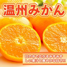 八代市産 温州みかん 約5kg