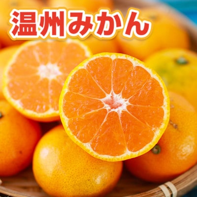 八代市産 温州みかん 約10kg