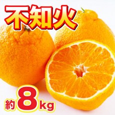 八代市産 不知火(しらぬい) 約8kg