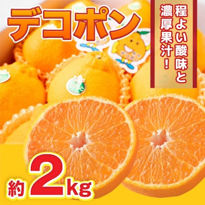 【2025年2月下旬より順次発送】八代市産 デコポン 約2kg