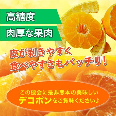 【2025年2月下旬より順次発送】八代市産 デコポン 約2kg