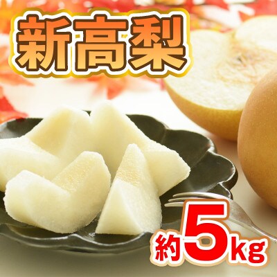 熊本県産　新高梨　約5kg(6玉～12玉)(八代市)
