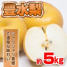 熊本県産 豊水梨 約5kg(6玉～20玉)(八代市)