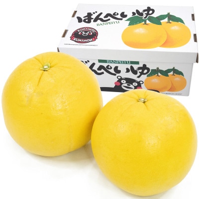 晩白柚 Lサイズ2玉入り 約3kg【熊本県産】 | 熊本県八代市