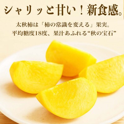 太秋柿　約6kg(16～32玉)　八代市産