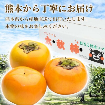 太秋柿　約6kg(16～32玉)　八代市産